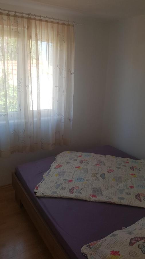 Apartment Ljubica 罗戈兹尼察 外观 照片